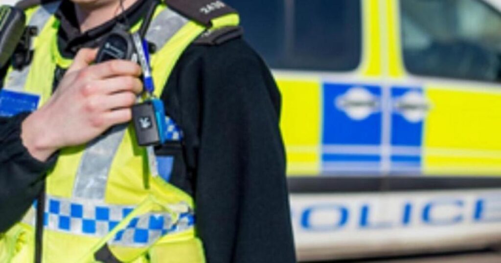 Knives and firearms seized from Southampton addresss Knives and firearms seized from Southampton addresss