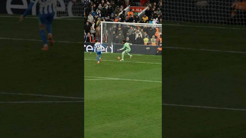 Alisson Becker ⭐️⭐️⭐️⭐️⭐️