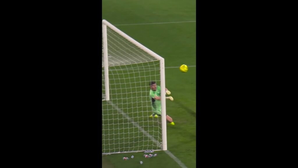 𝙏𝙝𝙞𝙗𝙖𝙪𝙩 𝘾𝙤𝙪𝙧𝙩𝙤𝙞𝙨. 🚫💥