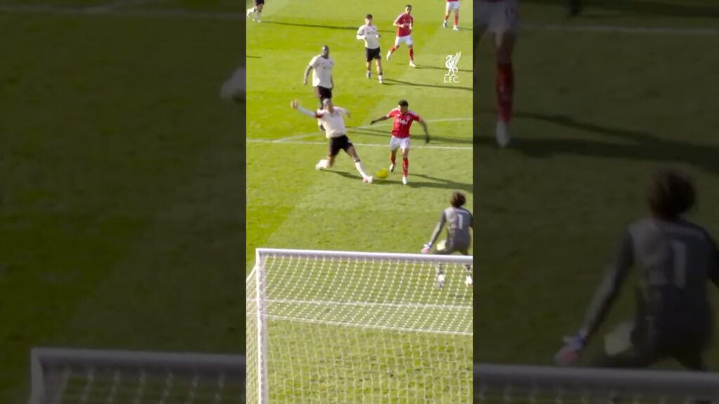 Crucial from VVD 👊 Crucial from VVD 👊