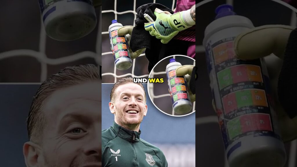 Wie Pickford den Elfmeter von Haaland gehalten hat