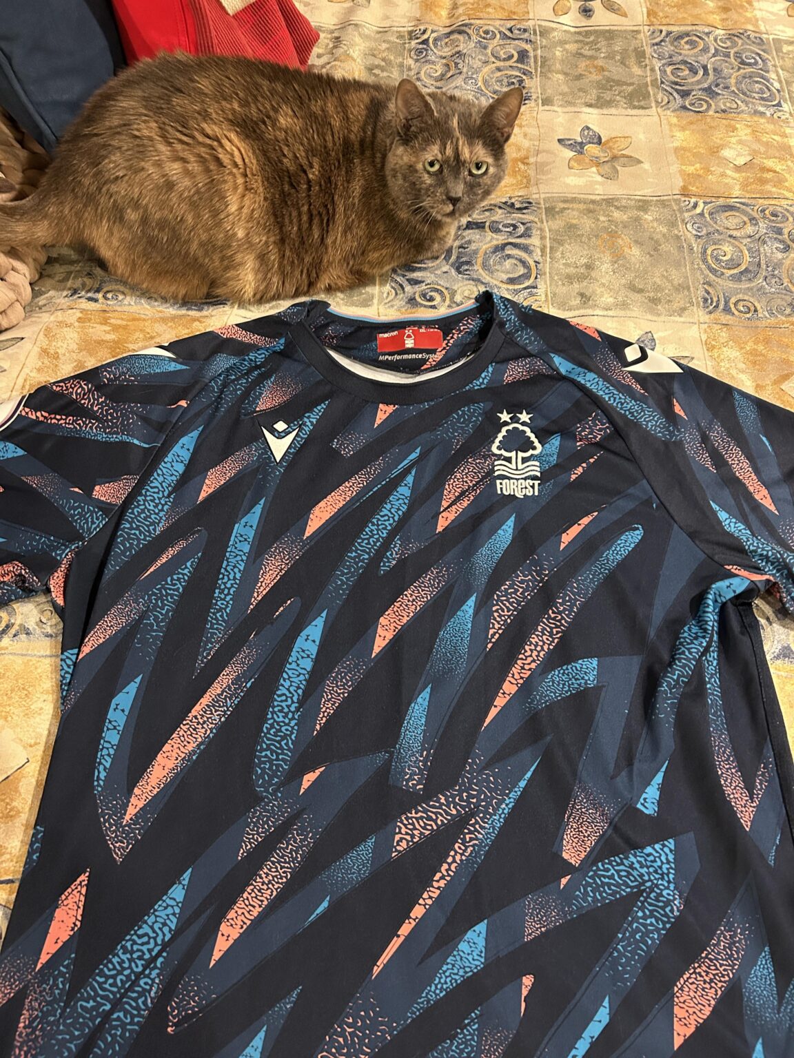 First Forest Kit 🚌💺