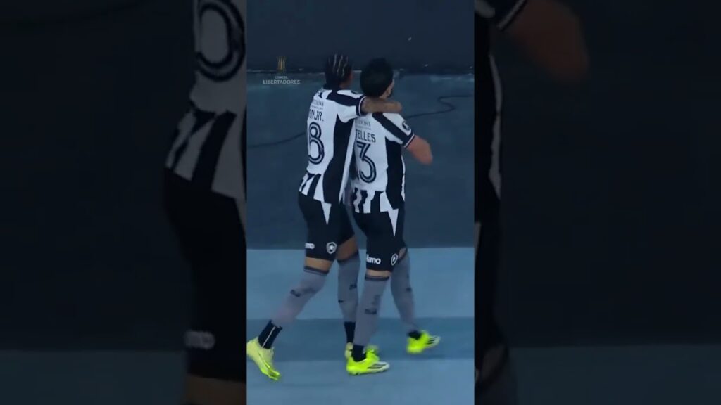 🎉⚽ Alex Telles faz a festa com o @botafogo!🏆 CONMEBOL #Libertadores