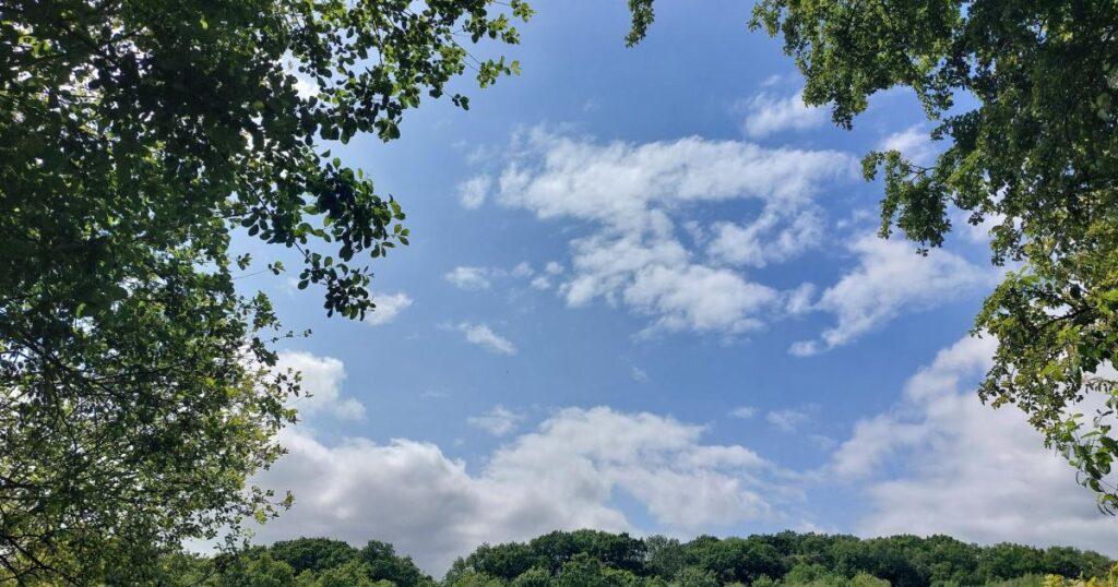 Met Office: Southampton weather for the week ahead