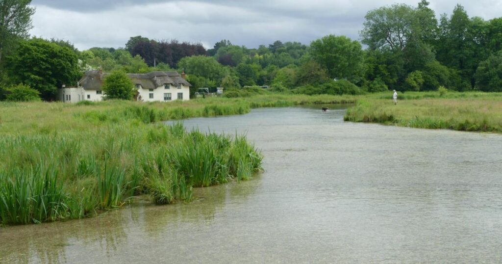 Southampton stream data concerns raised by WildFish
