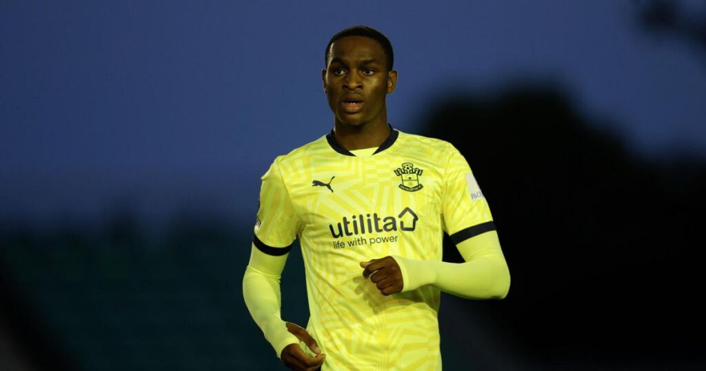 Southampton striker seals loan move to Salford City Southampton striker seals loan move to Salford City