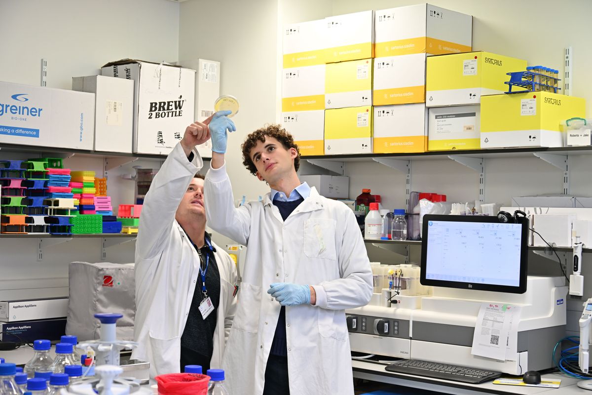 Ely Hyman on work experience