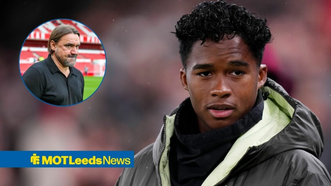 Endrick looks on with Daniel Farke in a circular inset