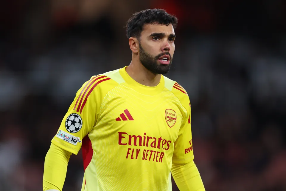 Raya has conceded just 17 Premier League goals this season