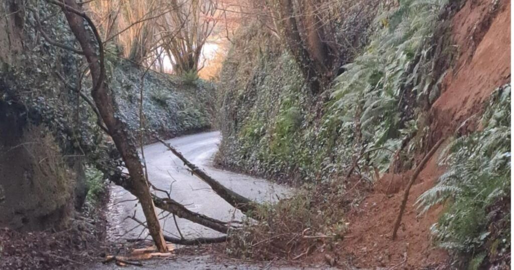 Road closed by tree fall and landslip as rain alert issued Road closed by tree fall and landslip as rain alert issued