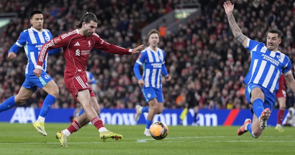 Brighton suffer FA Cup defeat at Liverpool