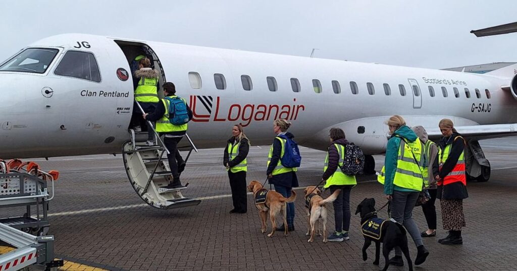Guide dog puppies visit and train at Southampton Airport