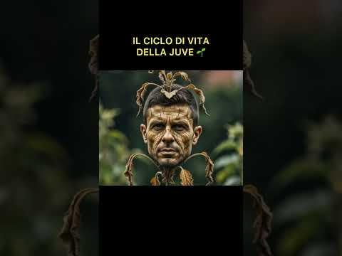 C'è un po' di video in questa verità...