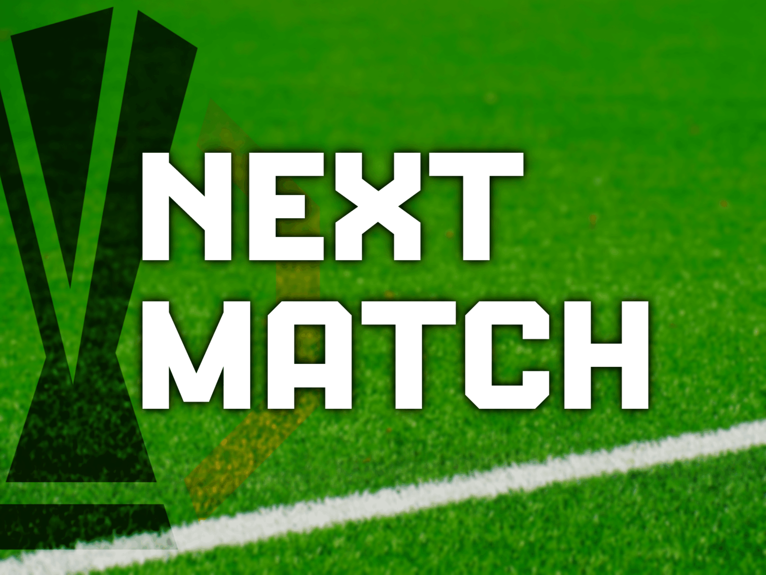 Next Match: VfB Stuttgart (H), 19 Feb