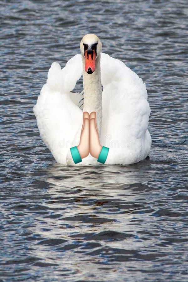 Looking for indian ac milan fans