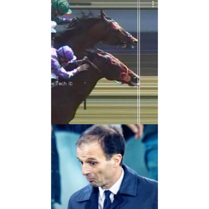 Te ne intendi di ippica?