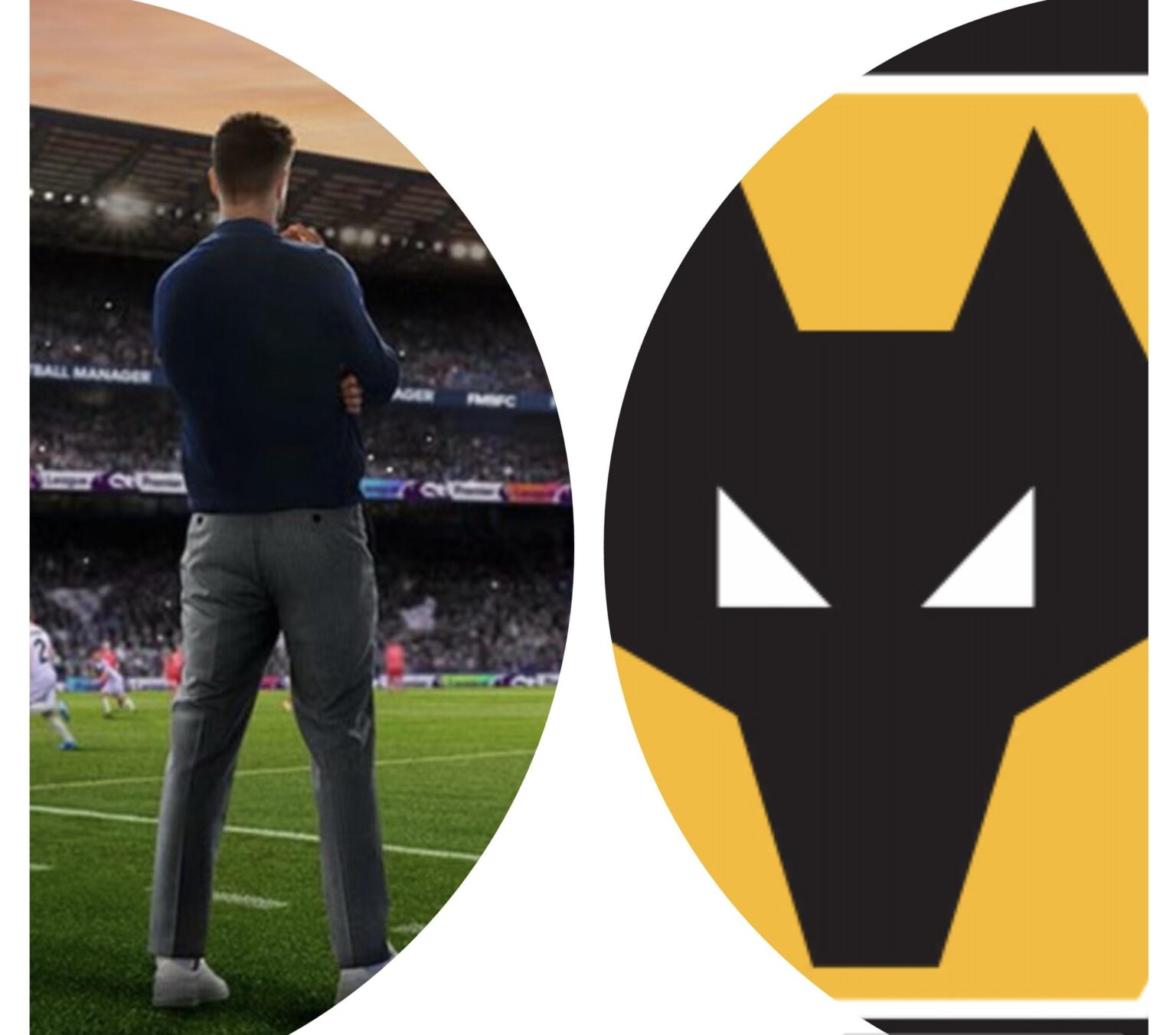 Wolverhampton Wanderers Premier League Managers - 9 in total, how many can you recall!? 🐺