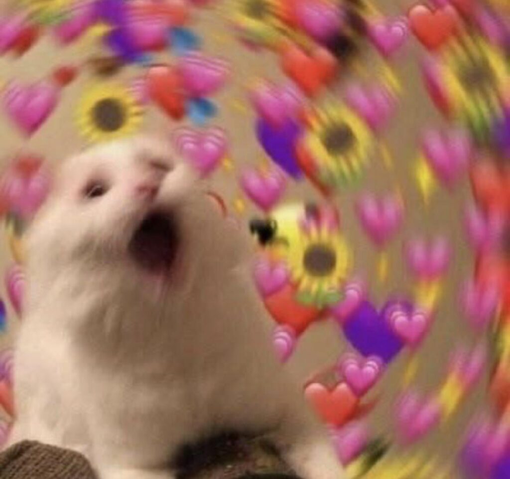 2 POINTS BEHIND!!! WHO WOULD HAVE THOUGHT?!?! What a game.