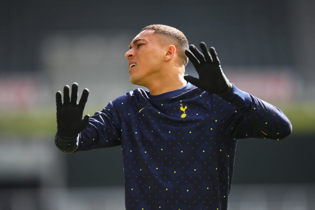 Newcastle United v Tottenham Hotspur - Premier League