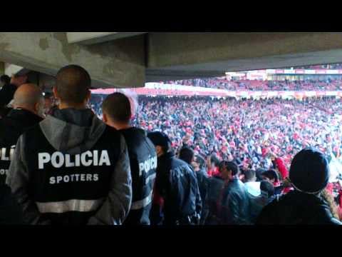 Benfica Topo Sul loucos da cabeça!