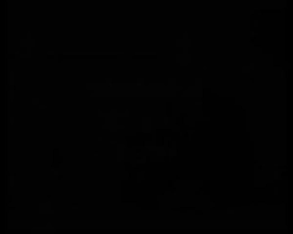 ON THIS DAY 1976: Newcastle United 4 - 3 Derby County - SuperMac scores late winner in thriller at St James'