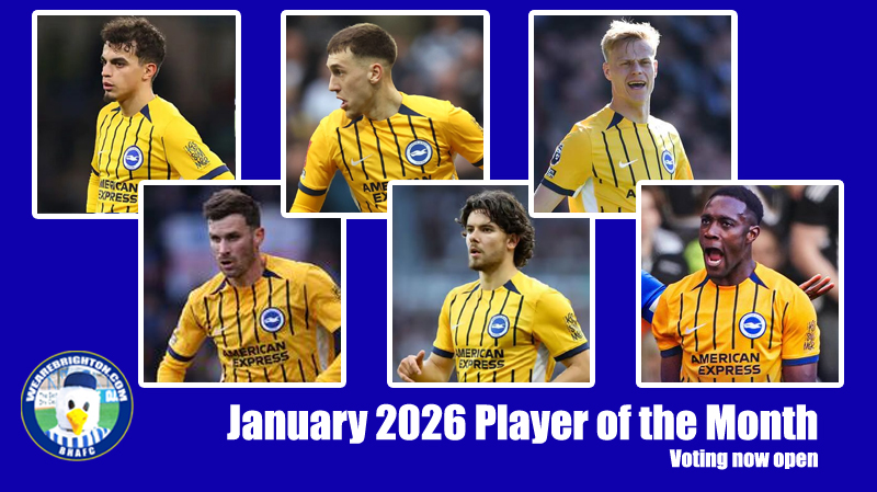 Vote for your January 2026 WAB Brighton Player of the Month