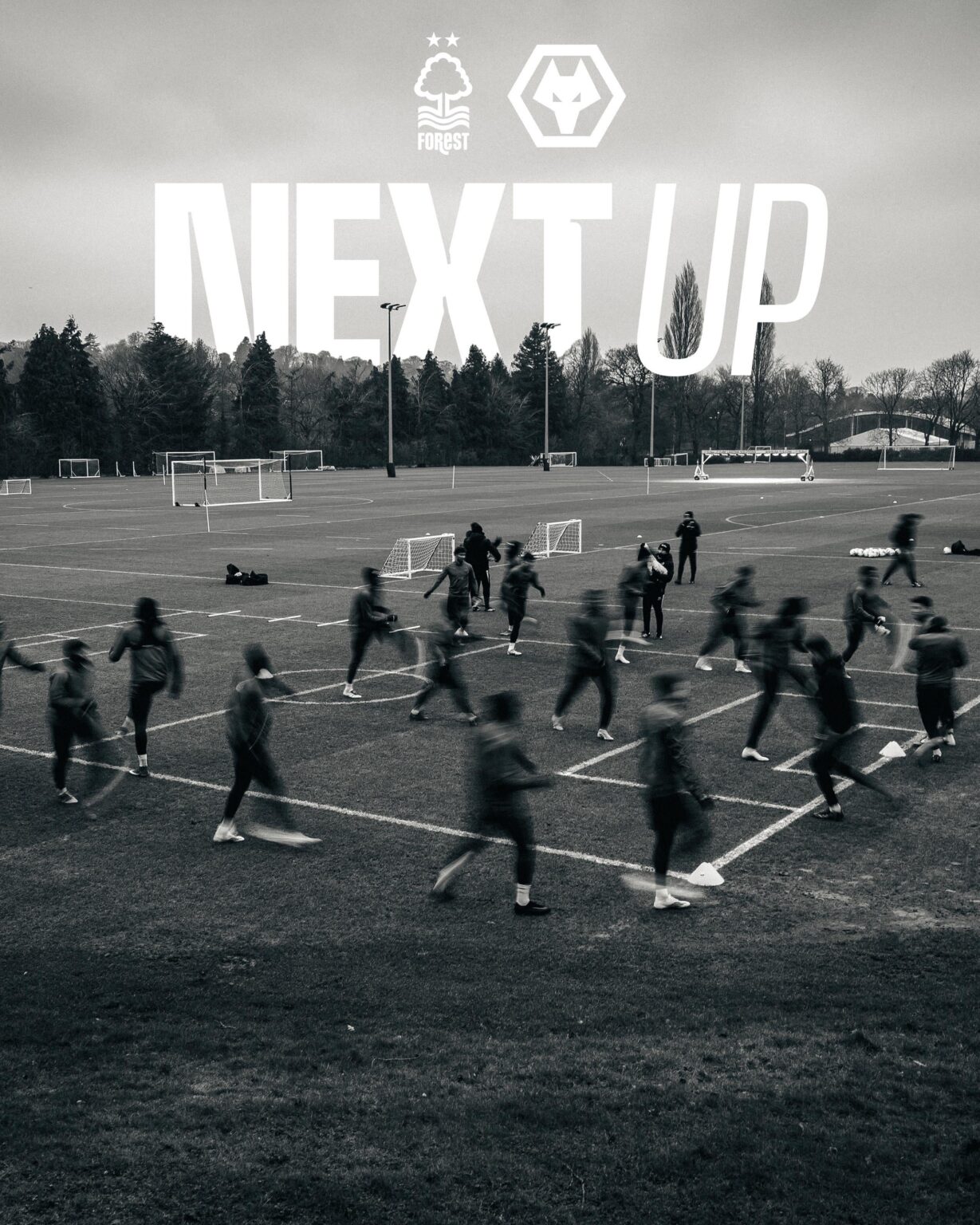 Predictions for the Forest game tomorrow