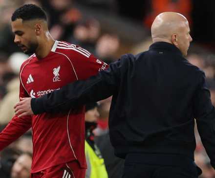 cody-gakpo-liverpool