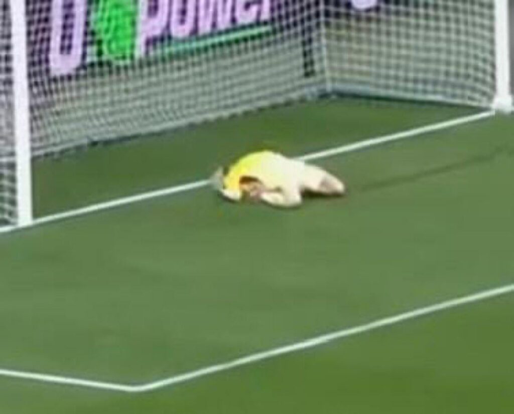 miazza stadium request your help in finding of the owner of the yellow Volkswagen Beetle, parked in a forbidden zone