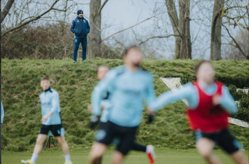 Paco watching over his kingdom