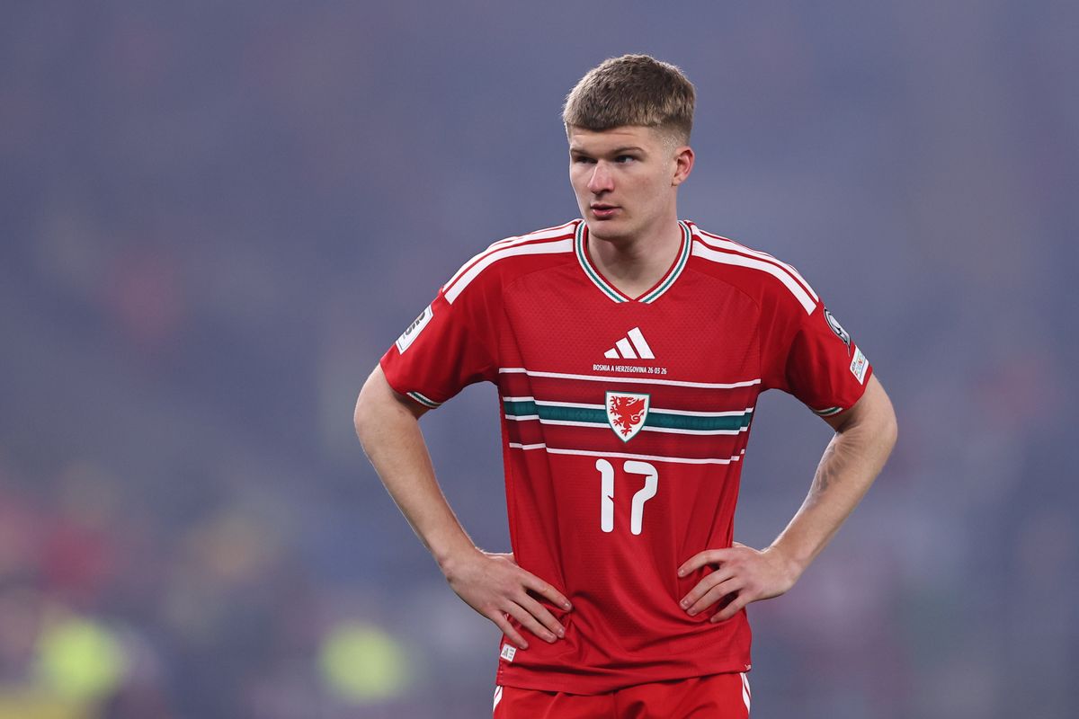 Leicester City midfielder Jordan James limped out of Wales' World Cup qualifying defeat to Bosnia-Herzegovina