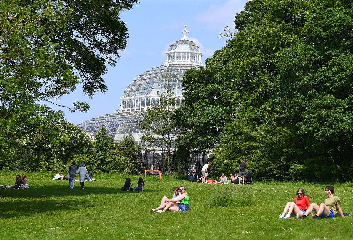 People relaxing in the sun in Sefton Park.