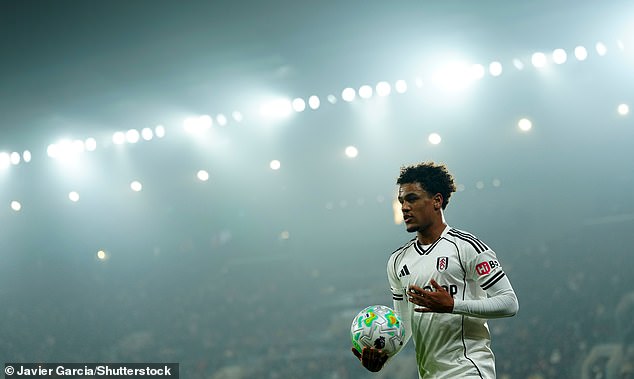 They do not always get the same lavish praise as Brighton and Brentford but Fulham’s recruitment since returning to the Premier League has served them well