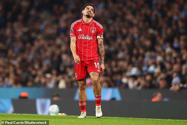 Nottingham Forest have a tough end to the season so must build on their victory over Spurs