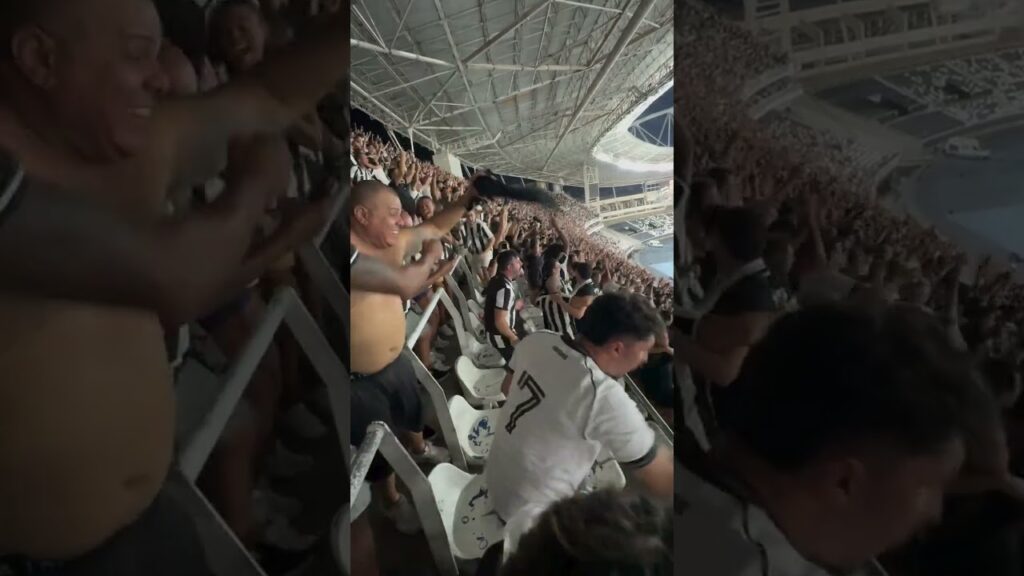 A EXPLOSÃO DO NILTON SANTOS COM O GOL DE ALEX TELLES! 🏟️⚽️ #VamosBOTAFOGO