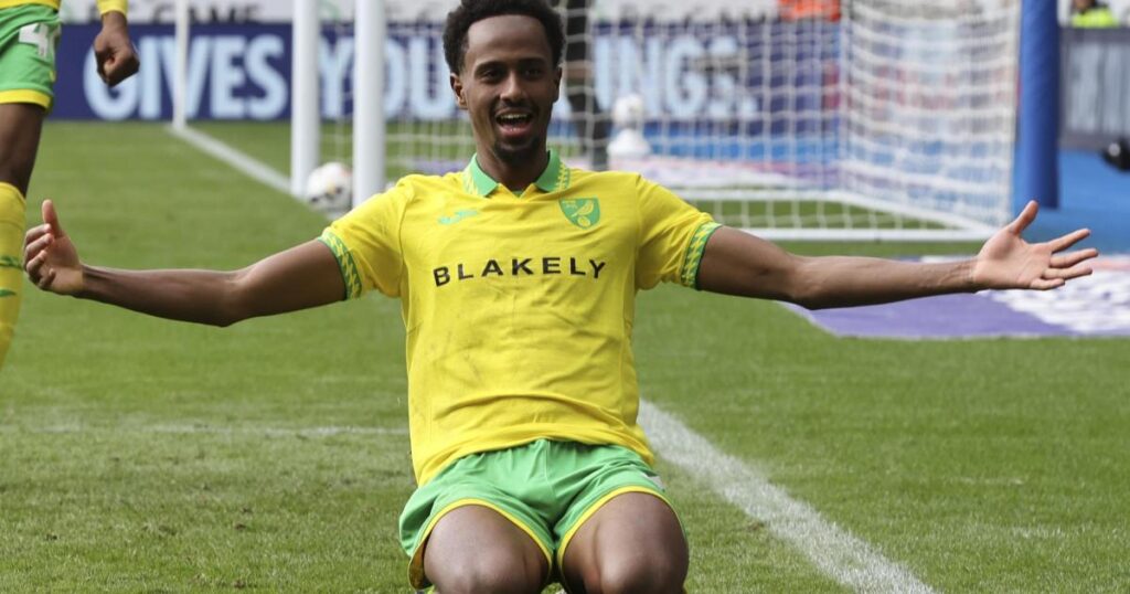 Ali Ahmed hails Norwich City's resilience after Foxes win