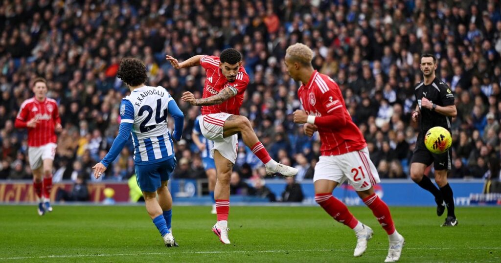 Nottingham Forest player ratings – 4/10 performance from key man as Reds beaten by Brighton Nottinghamshire Live
