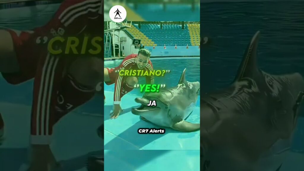 Delfin wählt Cristiano Ronaldo – Unglaublich! 🐬🔥