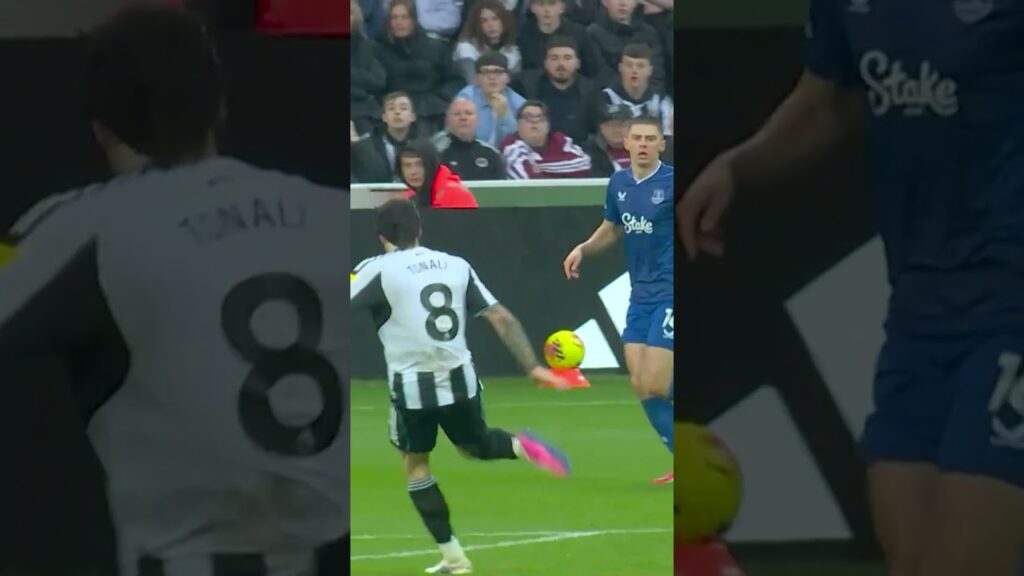 Jordan Pickford's WORLD-CLASS save from Sandro Tonali's volley! 🤯 #everton #newcastle #premierleague