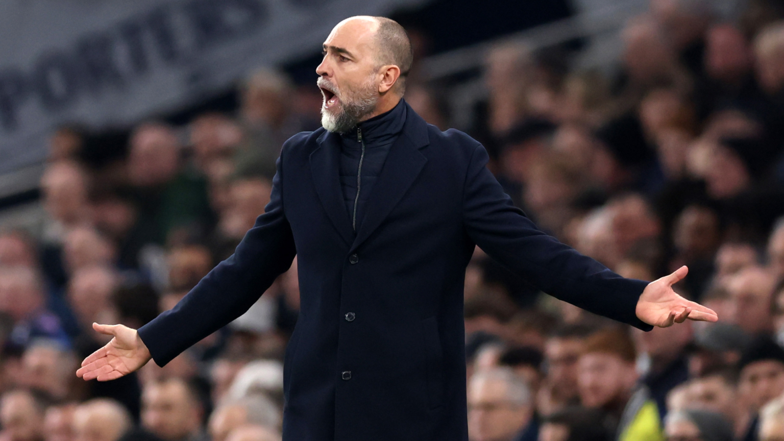 Darren Bent urges Tottenham Hotspur to bring in new manager that Spurs fans will hate