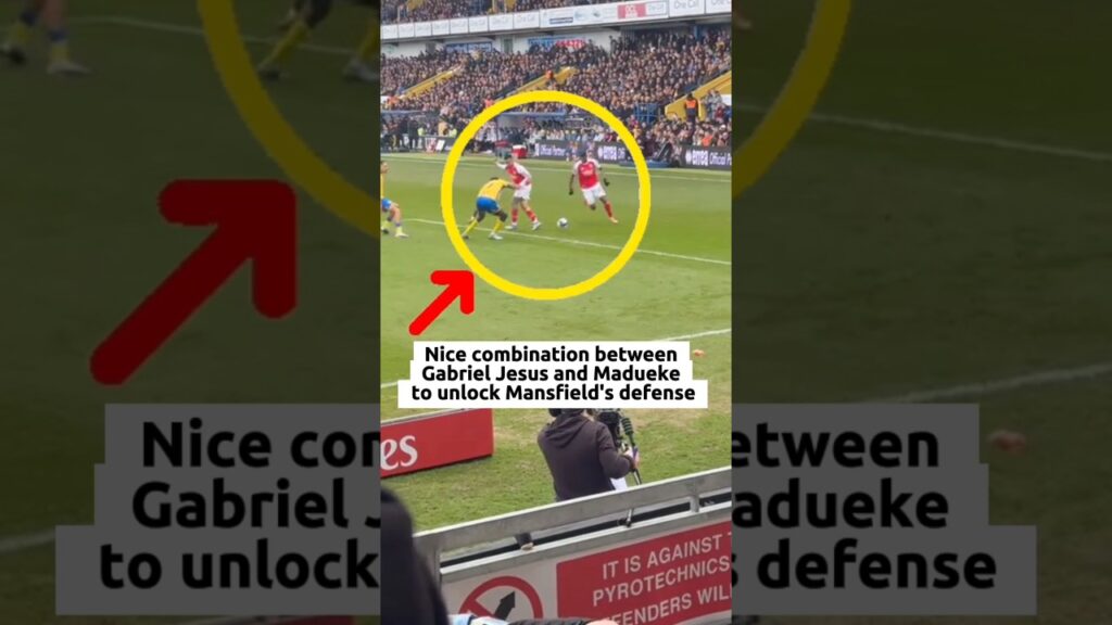 GABRIEL JESUS' BACK HEEL PASS #footballshorts