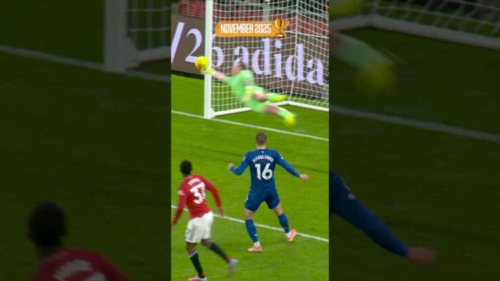 All FOUR of Jordan Pickford's INCREDIBLE Save of the Month winners! 👏🏆 #premierleague  #everton