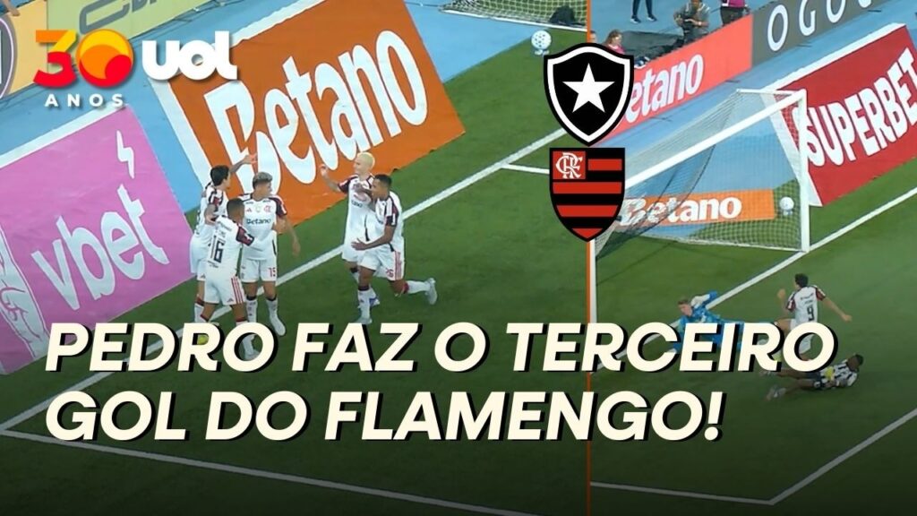 FLAMENGO MARCA MAIS UM CONTRA O BOTAFOGO! PEDRO FAZ O TERCEIRO DO MENGÃO! VEJA O GOL