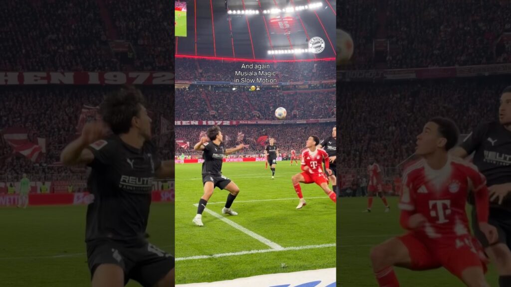 ✨ 𝘊𝘰𝘯𝘵𝘳𝘰𝘭. 𝘝𝘪𝘴𝘪𝘰𝘯. 𝘔𝘶𝘴𝘪𝘢𝘭𝘢. 🪄