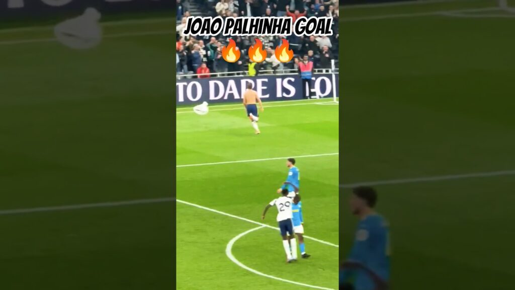 Joao Palhinha superb Goal vs Wolves #palhinha