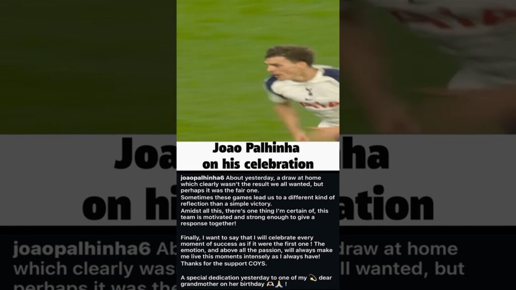Joao Palhinha defends his Tottenham goal celebration against Wolves, was he right?