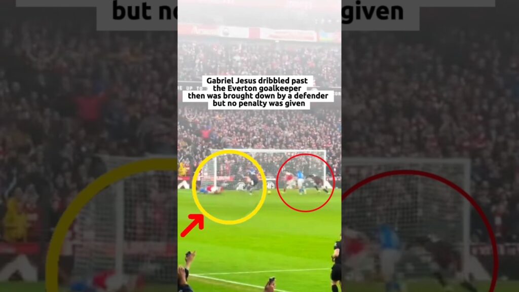 GABRIEL JESUS DRIBBLED PAST THE GOALKEEPER #footballshorts