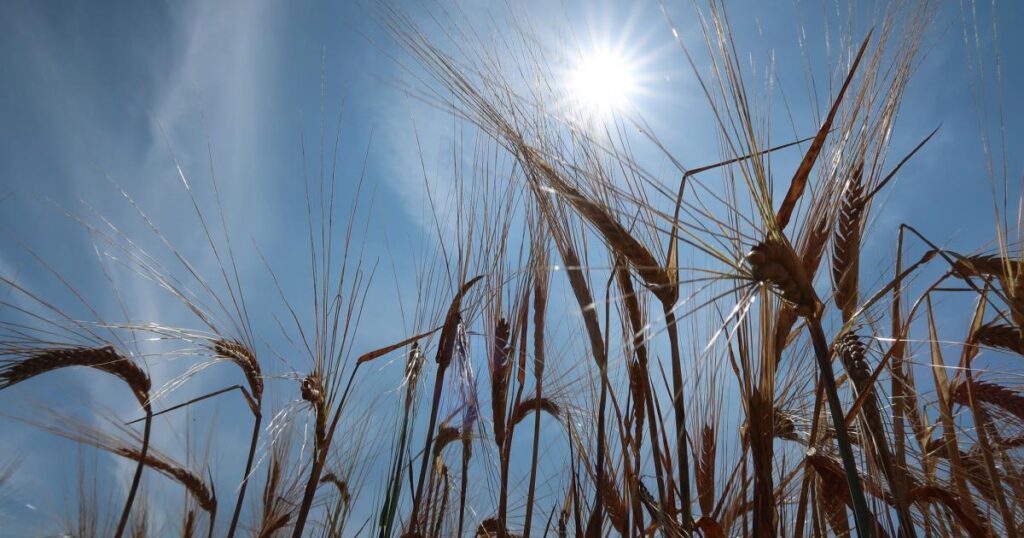 Met Office: Southampton weather forecast for week ahead