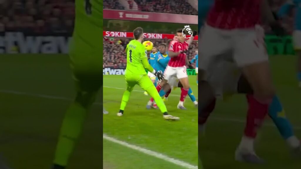 What A Keeper - Jose Sa making it look simple 🧤 #PremierLeague @wolves