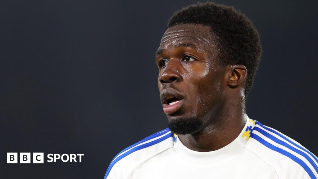 Leeds news: Stadium plans and what's happening with Wilfried Gnonto? Adam Pope Q&A